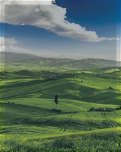 GESTION ENVIRONNEMENTALE ET SST